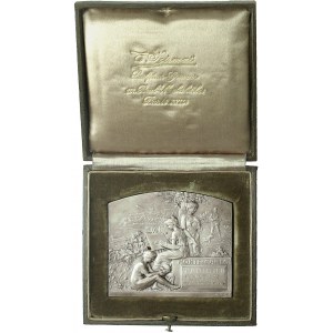 Albert Ier (1889-1922). Plaque uniface, Paris à la Mer, par T. Szirmaï 1911, Paris.
