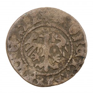 Korunový půlpeníz - Jan Olbracht (1492-1501)
