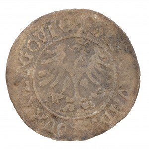 Pfennig ohne Datum - Głogów - Sigismund Jagiellonischer Herzog von Głogów (1498-1506)