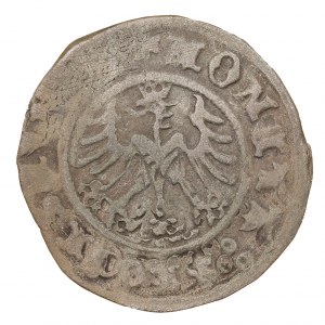 Korunový polpenny 1509 - Žigmund I. Starý (1506-1548)