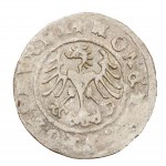 Zestaw 3 x półgrosz koronny - Zygmunt I Stary (1506-1548)