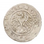 Satz von 3 x Kronen-Halbpfennig - Sigismund I. der Alte (1506-1548)