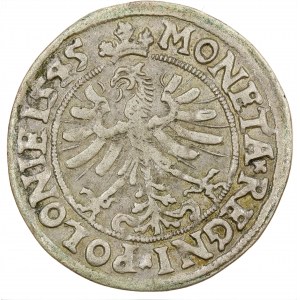 Korunový groš 1545 - Žigmund I. Starý (1506-1548)