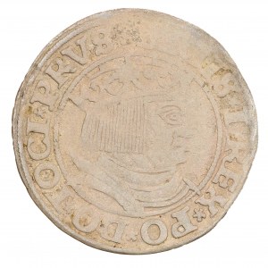 Pruský groš 1532 - Zikmund I. Starý (1506-1548)