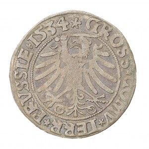 Grosz pruski 1534 - Zygmunt I Stary (1506-1548)