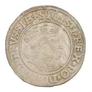 Pruský groš 1535 - Žigmund I. Starý (1506-1548)