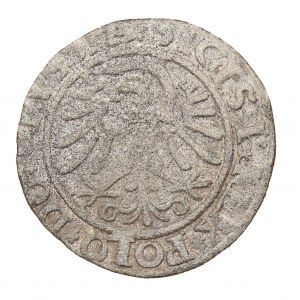 Szeląg 1533 - Elbląg - Zygmunt I Stary (1506-1548)