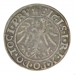 Grosz 1535 - Elbląg - Zygmunt I Stary (1506-1548)