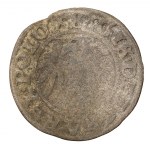 Sada x 2 - Gdaňský odznak - Zikmund I. Starý (1506-1548)