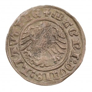 Halbpfennig 1510 - Litauen - Sigismund I. der Alte (1506-1548)