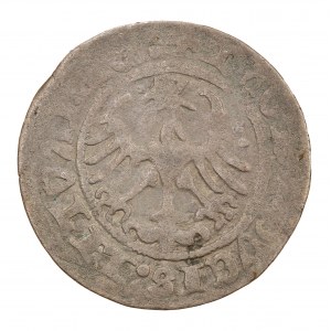 Semi-Gorsz 1513 - Litauen - Sigismund I. der Alte (1506-1548)