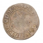 Satz x 6 - halber Pfennig - Litauen, Litauen - Sigismund I. der Alte (1506-1548)