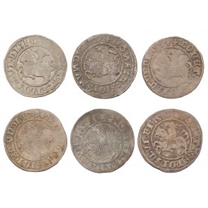 Satz x 6 - halber Pfennig - Litauen, Litauen - Sigismund I. der Alte (1506-1548)