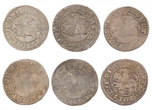 Set x 6 - half-penny - Lithuania, Lithuania - Sigismund I the Old (1506-1548)