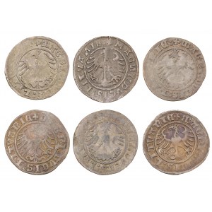 Satz x 6 - halber Pfennig - Litauen, Litauen - Sigismund I. der Alte (1506-1548)