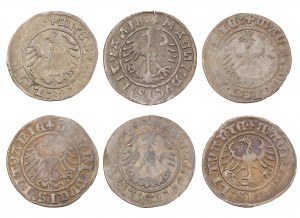 Set x 6 - half-penny - Lithuania, Lithuania - Sigismund I the Old (1506-1548)