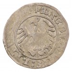 Satz x 6 - halber Pfennig - Litauen, Litauen - Sigismund I. der Alte (1506-1548)