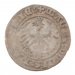 Zestaw x 6 - półgrosz - Litwa, Litwa - Zygmunt I Stary (1506-1548)