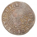 Satz x 6 - halber Pfennig - Litauen, Litauen - Sigismund I. der Alte (1506-1548)