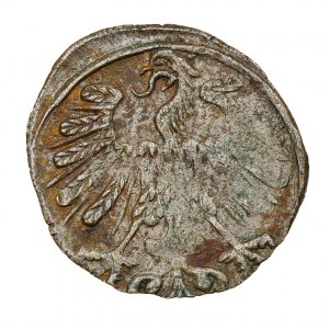 Denar 1558 - Litwa - Zygmunt II August (1544-1572)