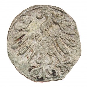 Denar 1558 - Litauen - Sigismund II Augustus (1544-1572)