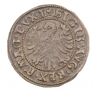 Półgrosz 1546 - Litwa - Zygmunt II August (1544-1572)