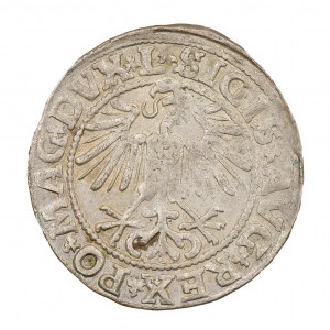 Półgrosz 1549 - Litwa - Zygmunt II August (1544-1572)