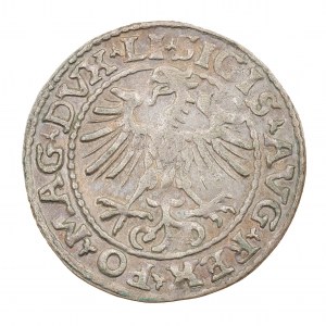 Półgrosz 1552 - Litwa - Zygmunt II August (1544-1572)