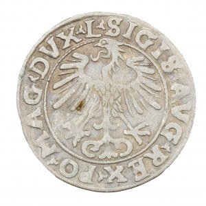 Půlpenny 1556 - Litva - Zikmund II August (1544-1572)