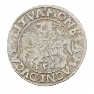 Půlpenny 1556 - Litva - Zikmund II August (1544-1572)