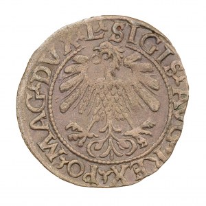Půlpenny 1559 - Litva - Zikmund II August (1544-1572)