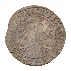 Halbpfennig 1560 - Litauen - Sigismund II. Augustus (1544-1572)