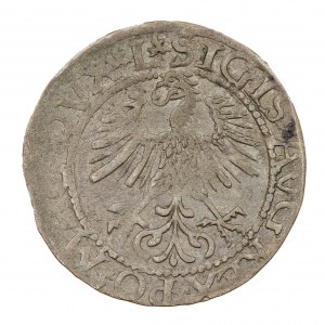 Půlpenny 1561 - Litva - Zikmund II August (1544-1572)