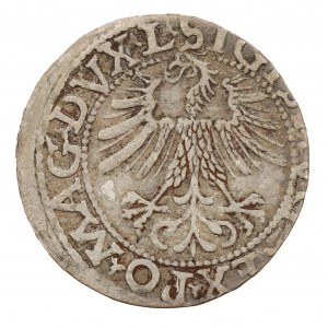 Półgrosz 1562 - Litwa - Zygmunt II August (1544-1572)