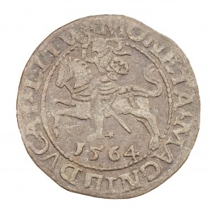 Półgrosz 1564 - Litwa - Zygmunt II August (1544-1572)