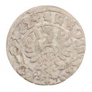 Grosz 1624 - Bydgoszcz - Zygmunt III Waza (1587-1632)