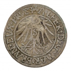 Pfennig 1541 - Preußen - Albrecht Hohenzollern (1526-1568)