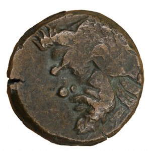 Brąz 325-310 p.n.e. - Grecja - Bosfor Cymeryjski - Pantikapea