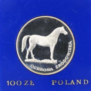 100 zł. 1981. KOŃ.