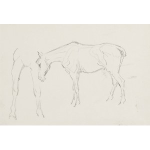Karol KOSSAK (1896-1975), Studium pasącego się konia