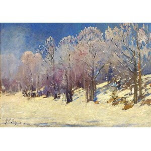 Julian FAŁAT (1853-1929), In the Winter Sunshine