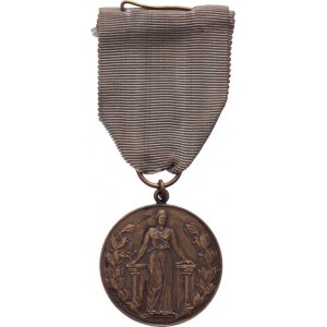 Československo, FIDAC - pamětní medaile 1918 - 1919, VM.123c1, Sign.