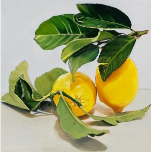 Ed Box, citróny