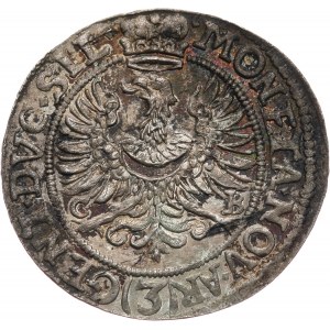 Schlesien, Herzogtum Legnicko-Brzesko-Wołowskie, Ludwika, 3 krajcary 1673 CB, Brzeg