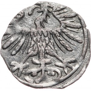 Zygmunt II August, denar 1556, Wilno