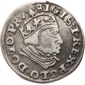 Zygmunt I Stary, trojak 1540, Gdańsk