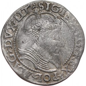 Zygmunt II August, grosz litewski na stopę litewską 1559, Wilno
