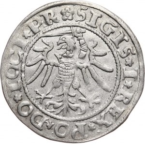 Zygmunt I Stary, grosz 1535, Elbląg