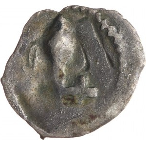 Litwa, Witold 1392-1430, denar