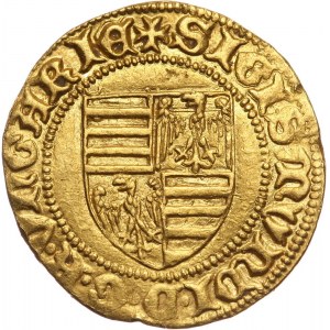 Węgry, Zygmunt Luksemburski 1387-1437, goldgulden bez daty, Koszyce